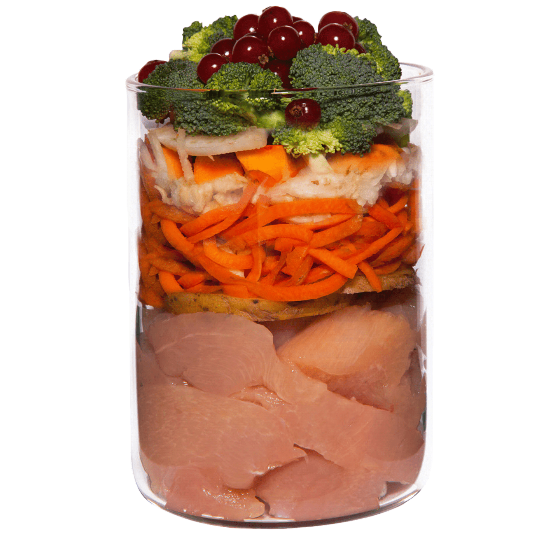 Terra Canis Low Mineral Diät Huhn, Nassfutter