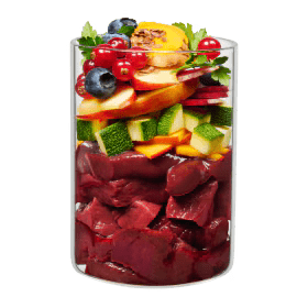 Natürliche Zutaten in Terra Canis Hundefutter: Rind, Zucchini, Kürbis und Obst
