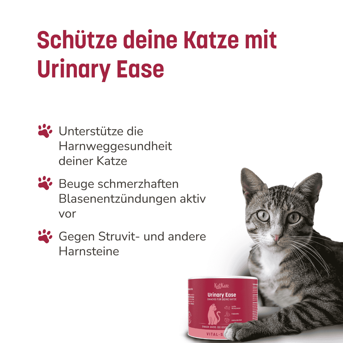 KatKare - Urinary Ease - Vital Snacks für die Unterstützung des Harnsystems deiner Katze