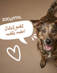 zooVital Mixpaket Hirsch & Huhn + gratis Snack