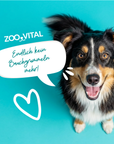 zooVital Mixpaket Lamm & Hirsch + gratis Snack