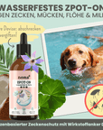 noms+ Wasserfestes Zpot-on für Hunde gegen Zecken, Flöhe, Milben & Mücken [Jahresvorrat]