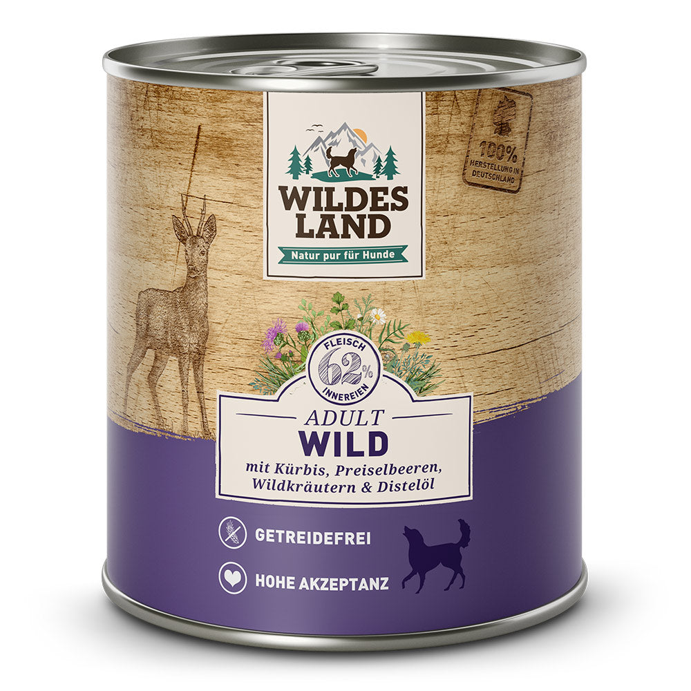 Wildes Land Hund Wild mit Kürbis