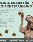 noms+ Wohlfühlsnacks für Hunde bei Stress, Angst, Unruhe & Hyperaktivität