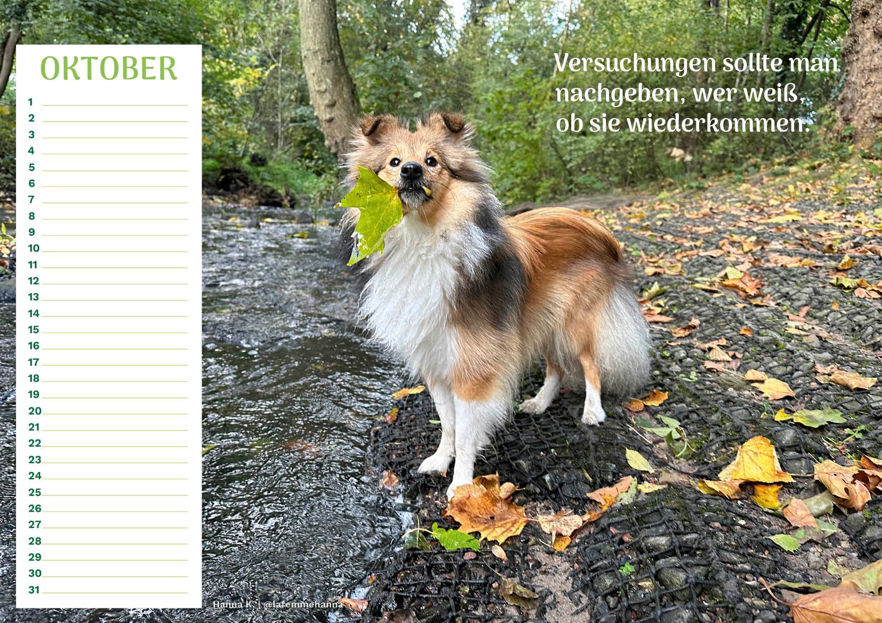 Community Kalender Hund