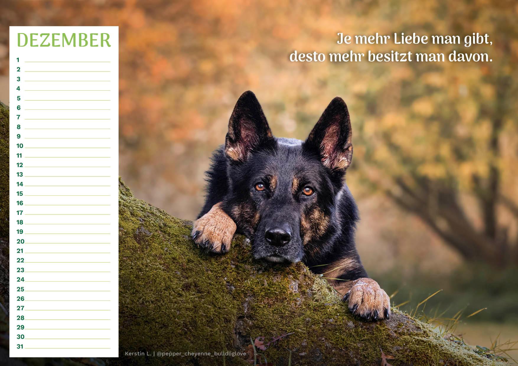 Community Kalender Hund