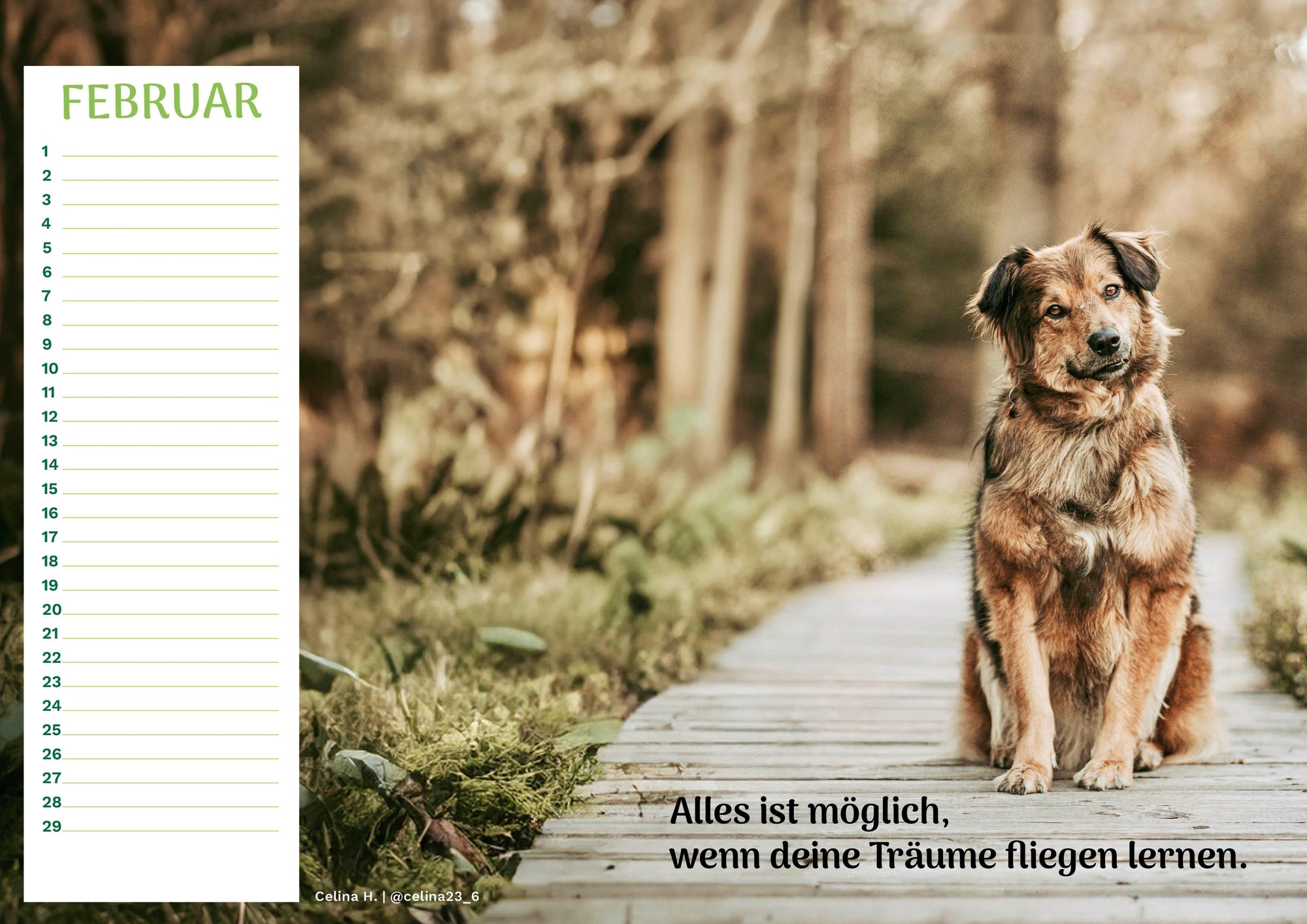 Community Kalender Hund