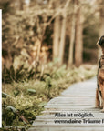 Community Kalender Hund