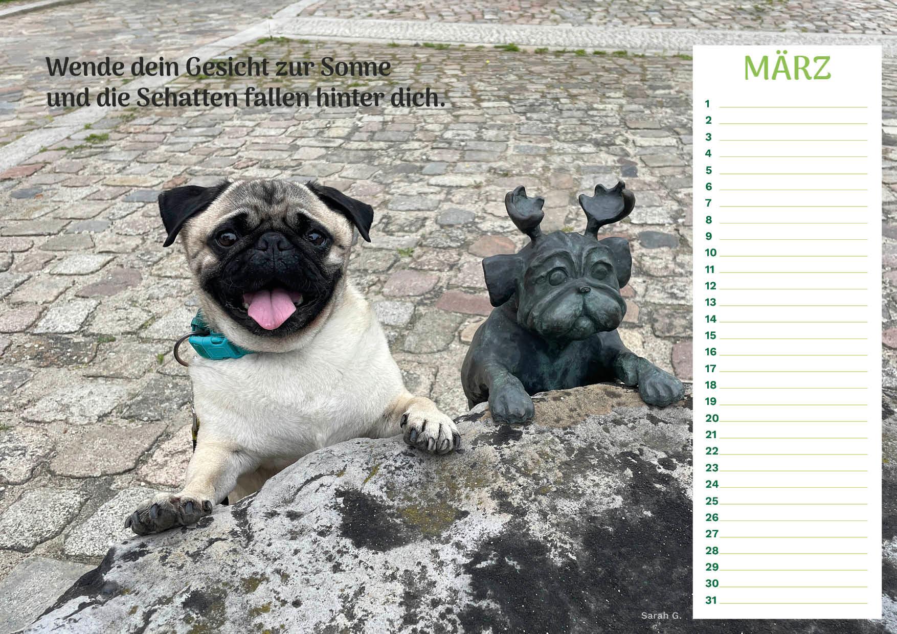 Community Kalender Hund