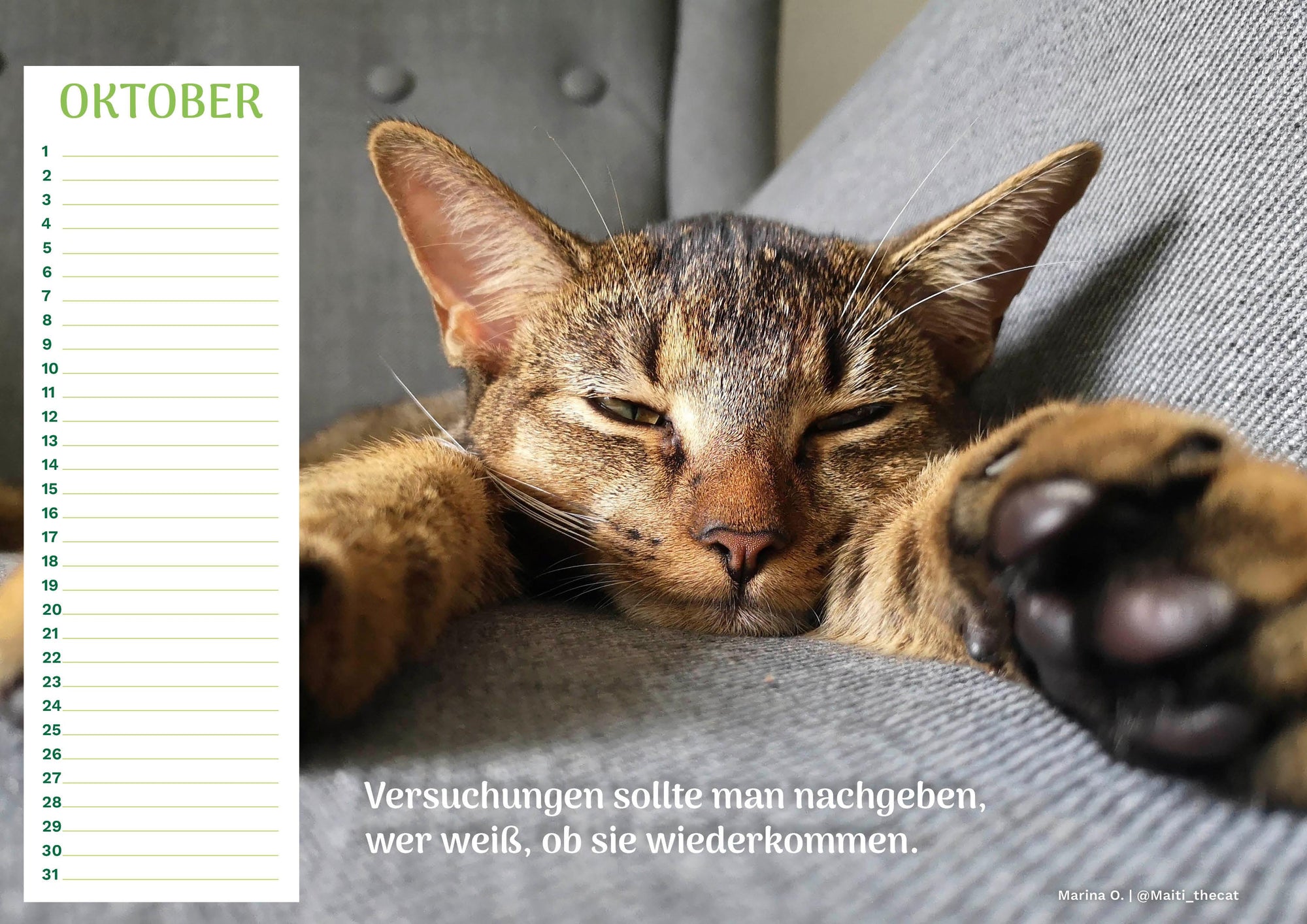 Community Kalender Katze