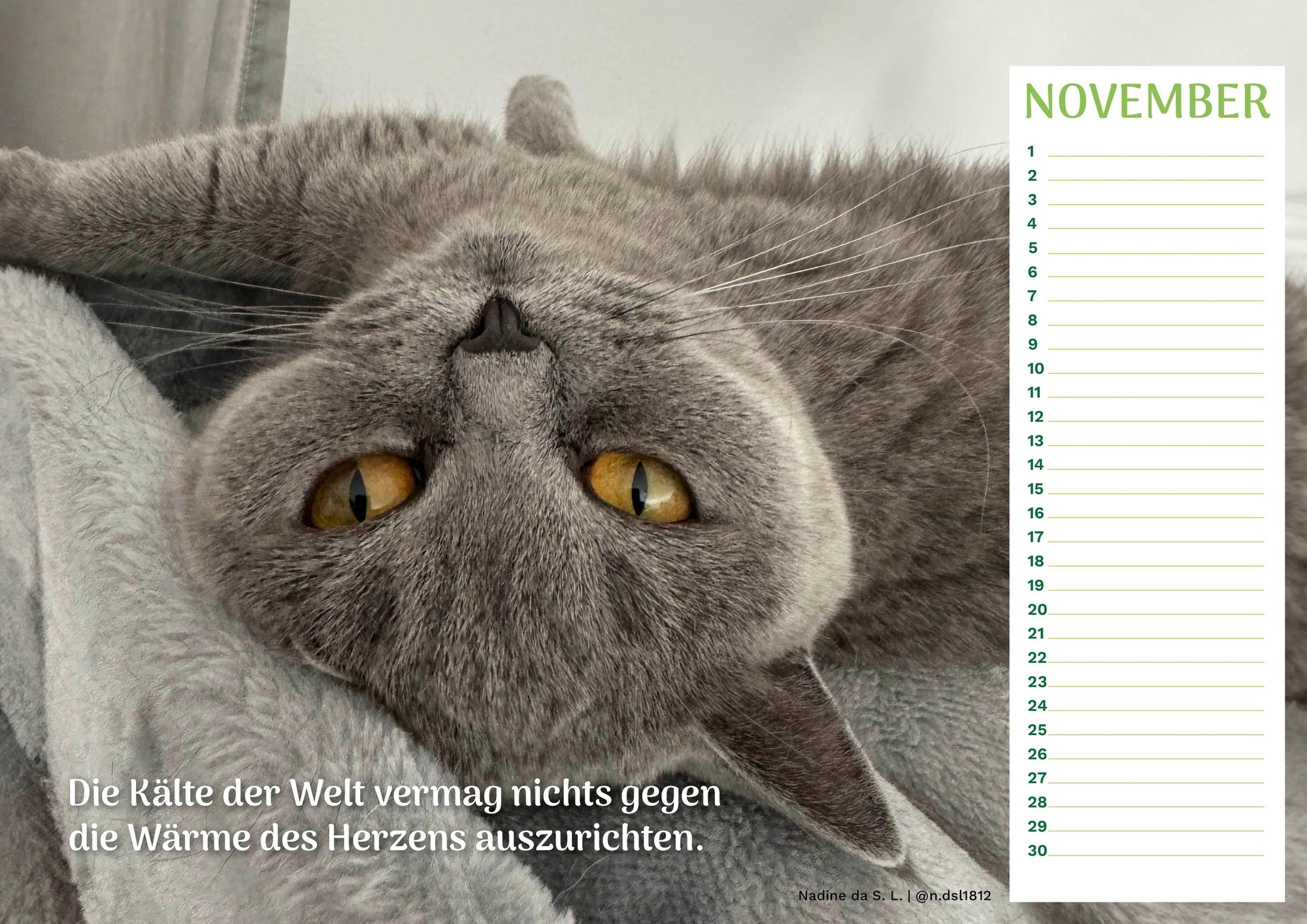 Community Kalender Katze