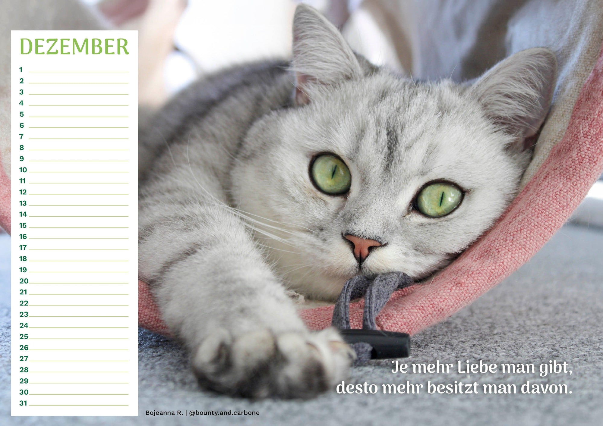 Community Kalender Katze