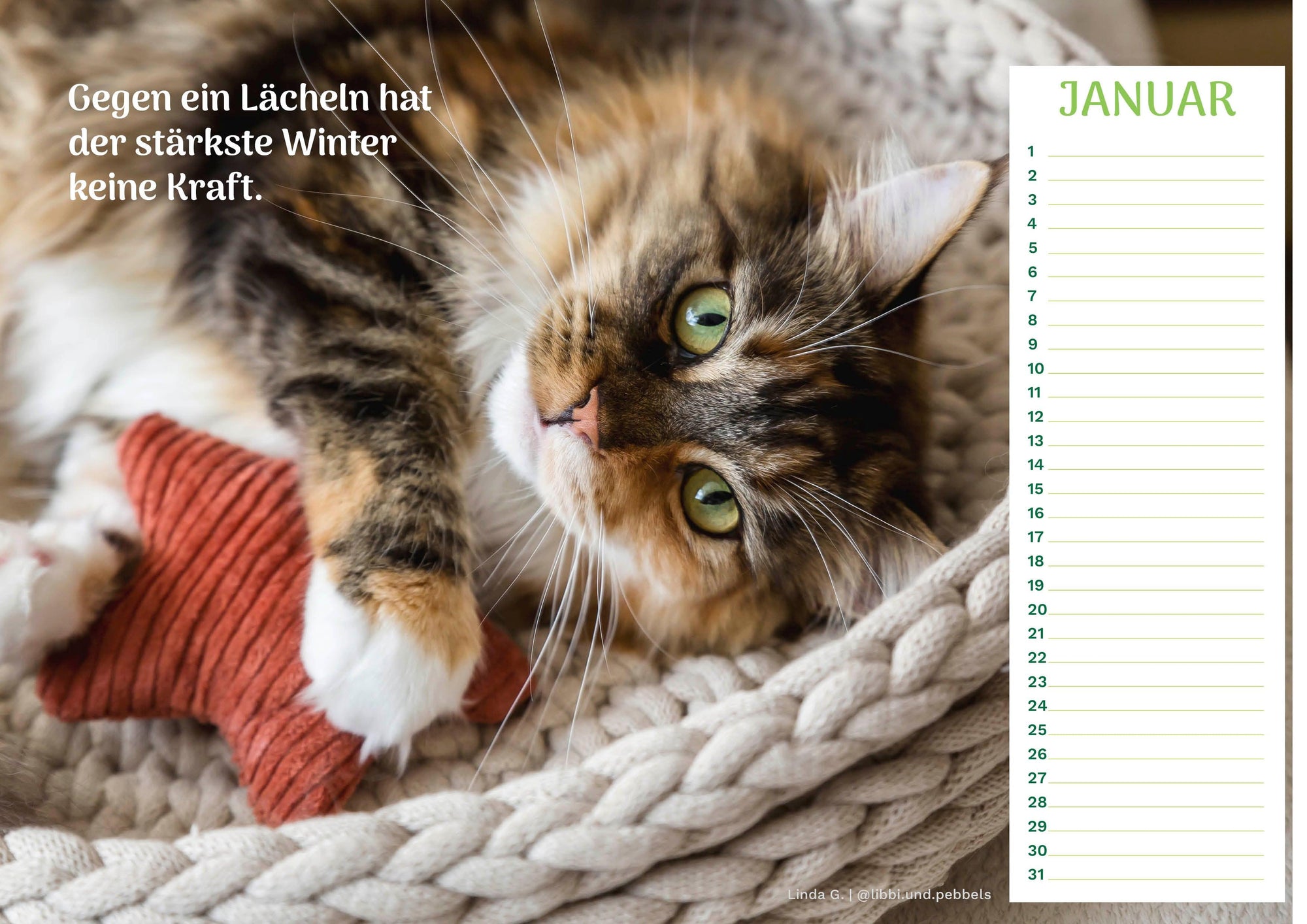 Community Kalender Katze