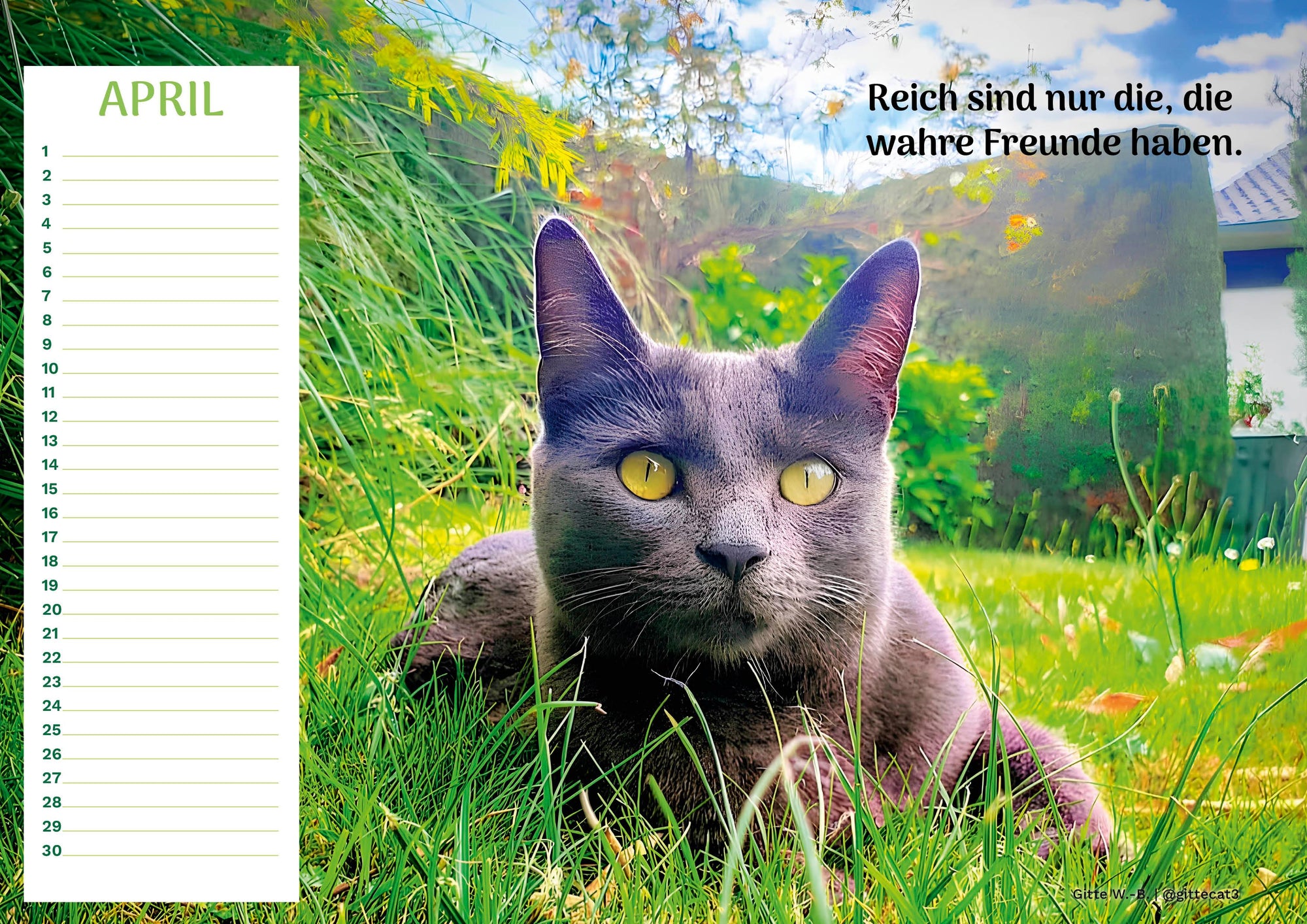 Community Kalender Katze