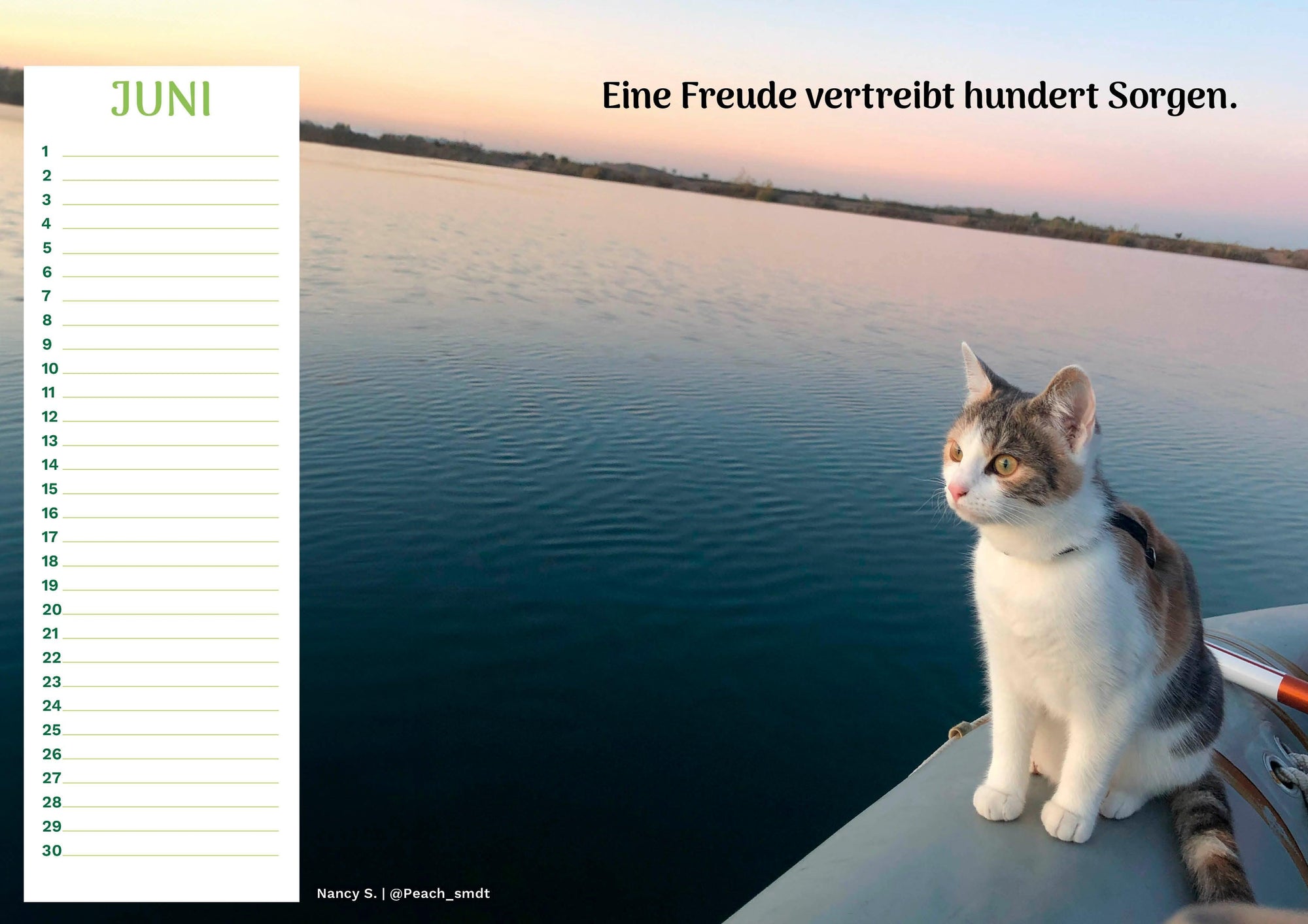 Community Kalender Katze