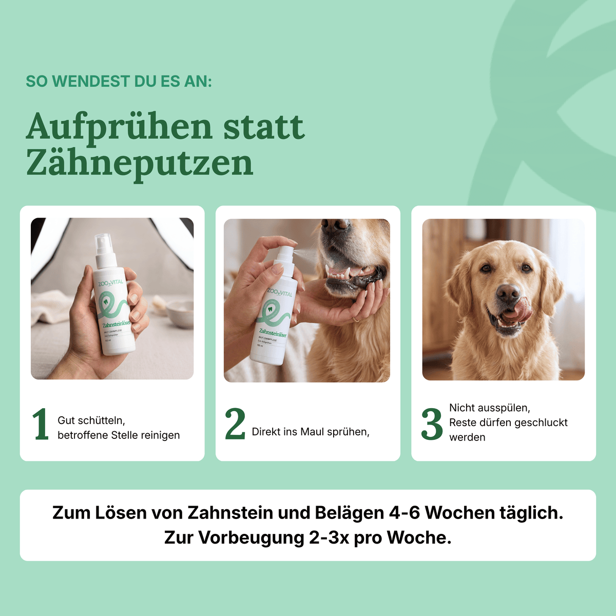 How to use zooVital dental spray on dogs infographic guide