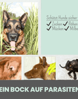 noms+ Zpot-on für Hunde gegen Zecken, Flöhe, Milben & Mücken [Jahresvorrat]