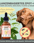 noms+ Zpot-on für Hunde gegen Zecken, Flöhe, Milben & Mücken [Jahresvorrat]
