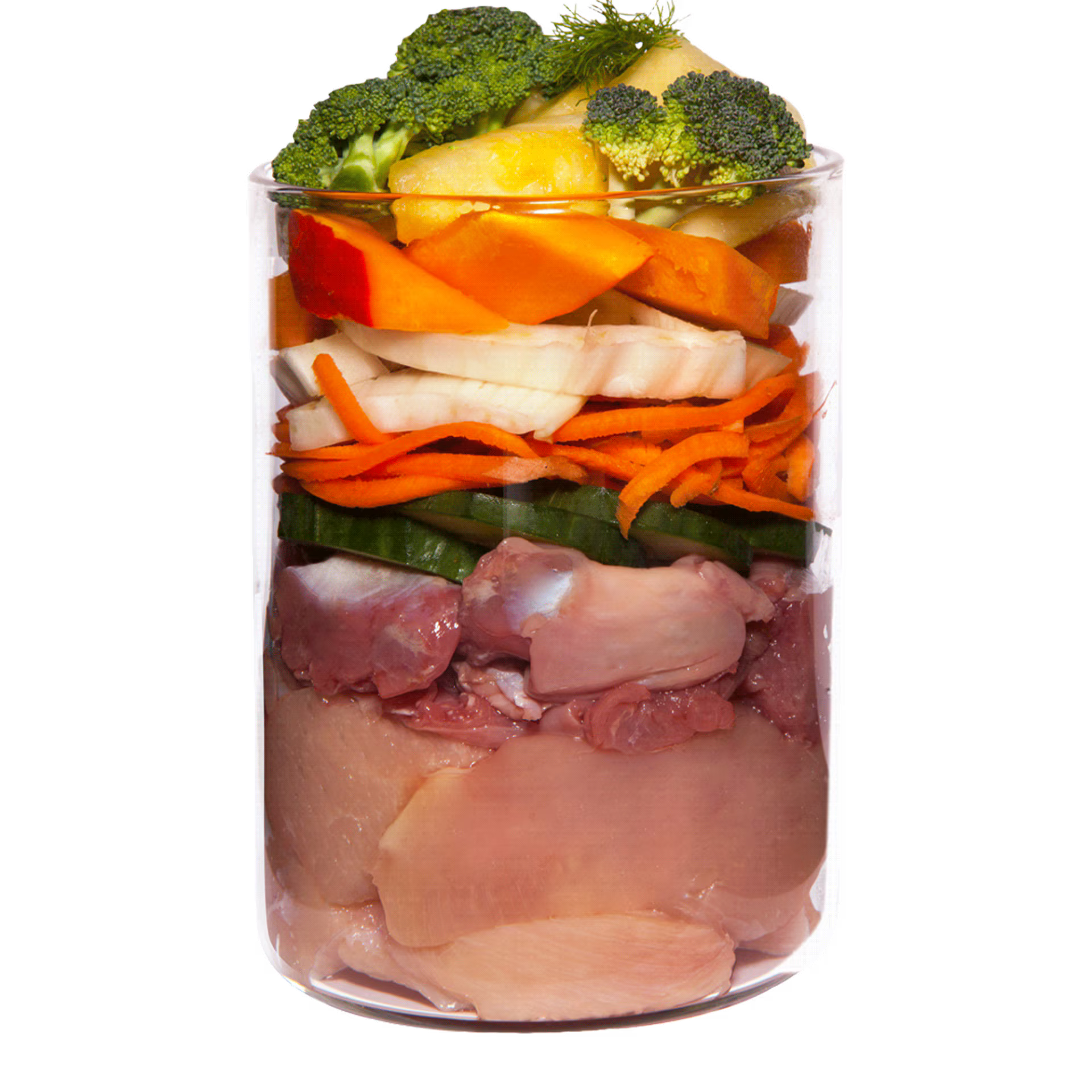Terra Canis Low Fat Diät Huhn