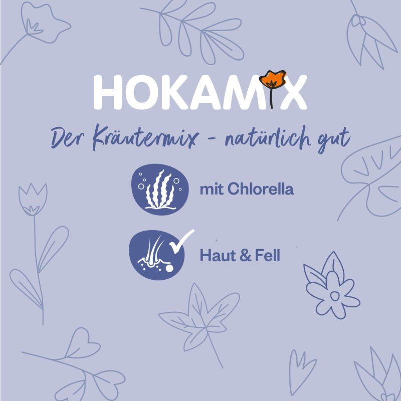 Hokamix Skin &amp; Coat Booster