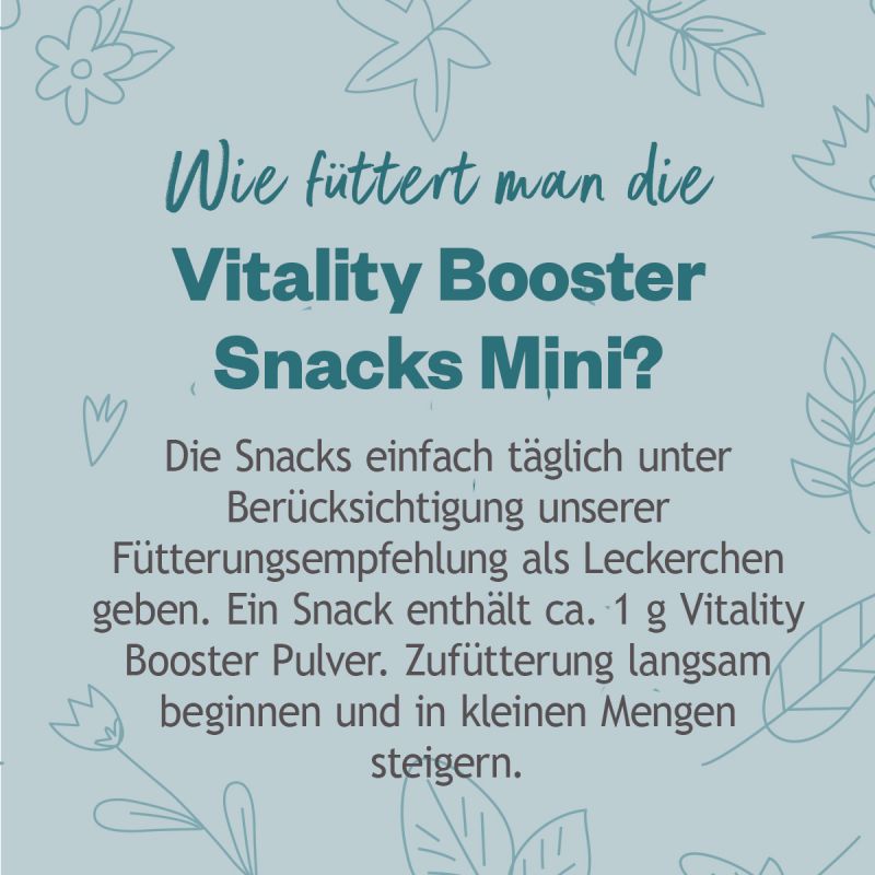 Hokamix Vitality Booster Snack Mini