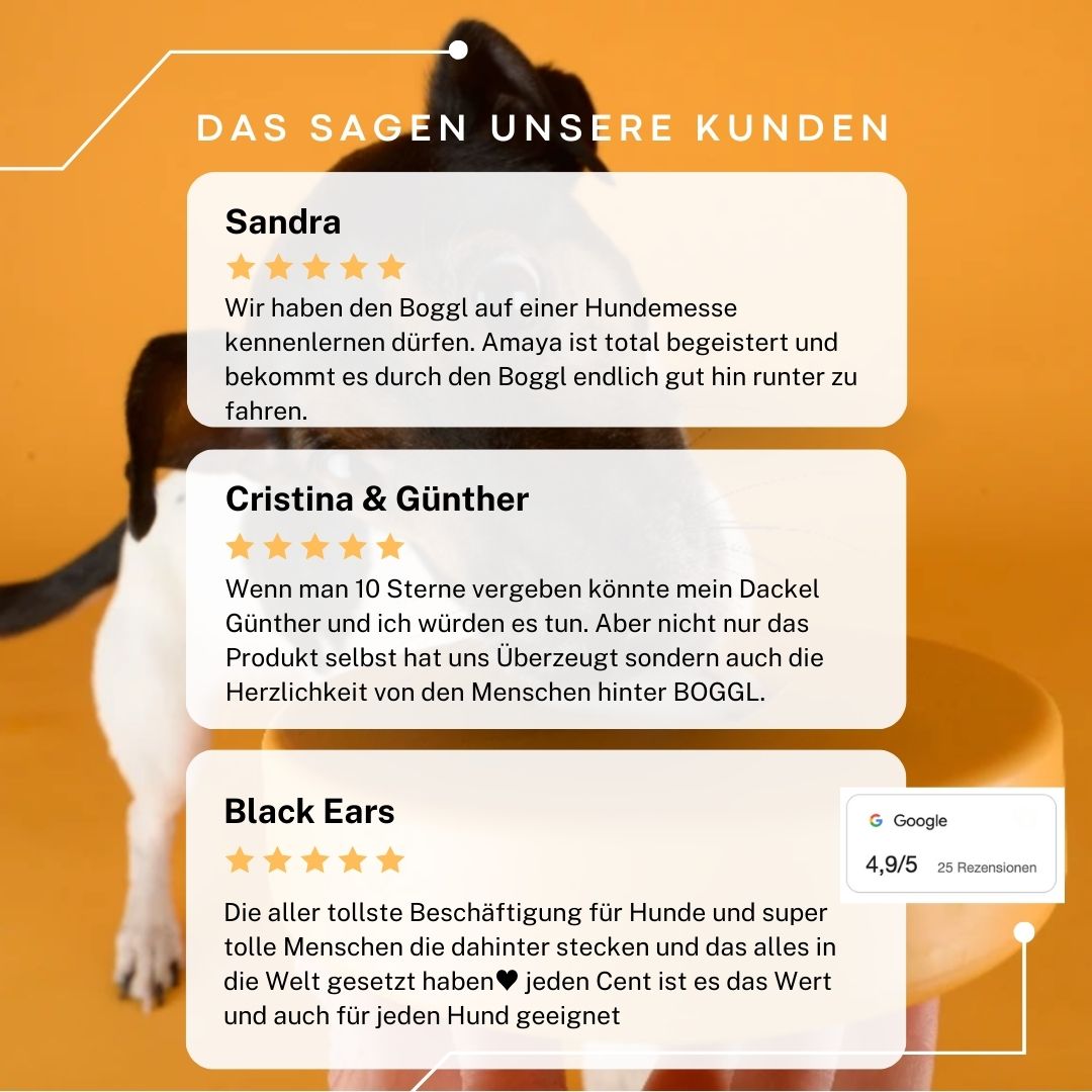 Einsteiger-Set BOGGL® S für kleine Hunde (5-15kg): Schleckspielzeug + Form