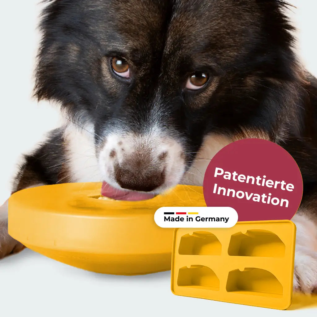 Einsteiger-Set BOGGL® M für große Hunde (15-30 kg): Schleckspielzeug + Form