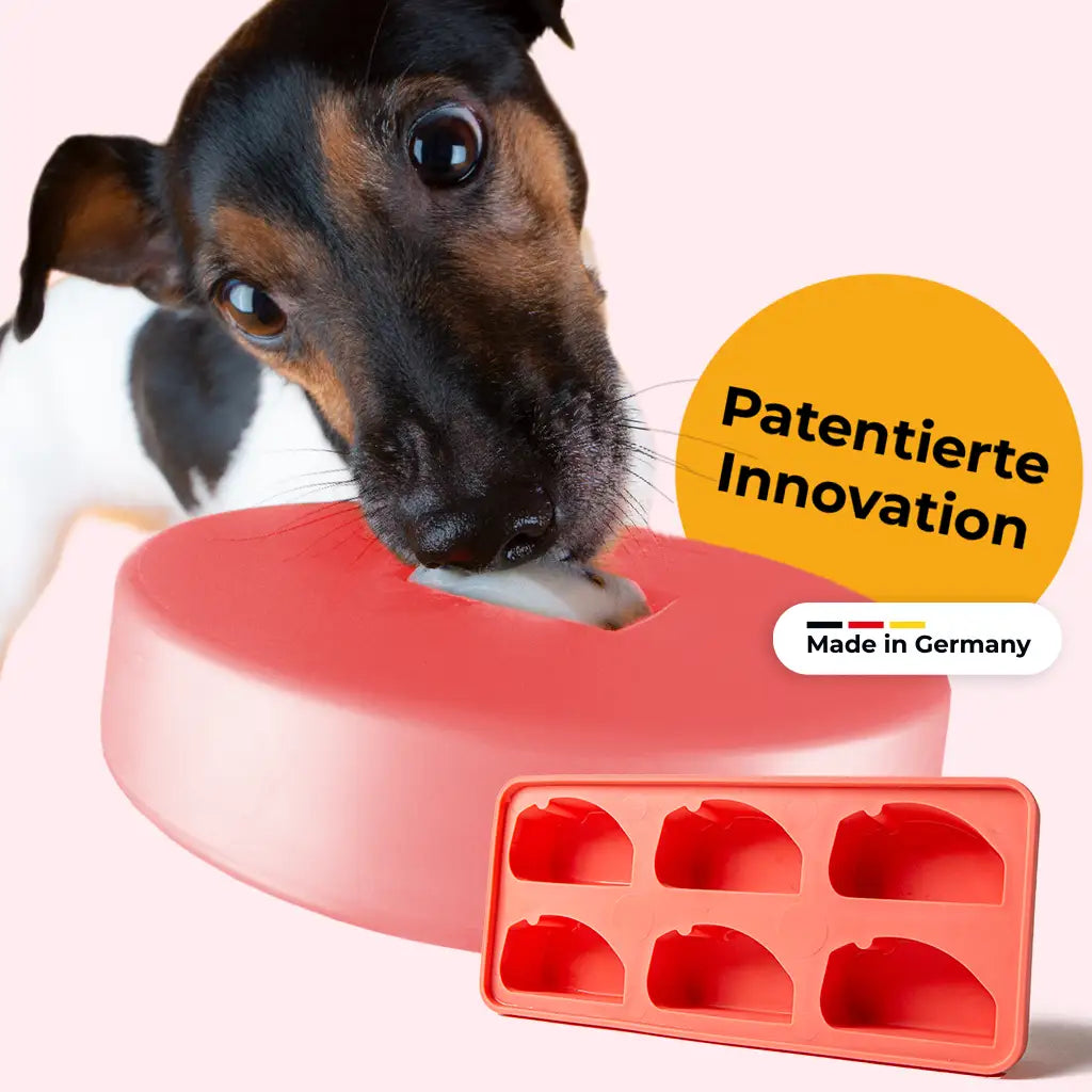 Einsteiger-Set BOGGL® S für kleine - mittelgroße Hunde (2-15 kg): Schleckspielzeug + FormBOGGL® Einsteiger-Set S