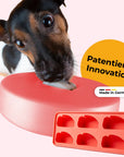Einsteiger-Set BOGGL® S für kleine - mittelgroße Hunde (2-15 kg): Schleckspielzeug + FormBOGGL® Einsteiger-Set S