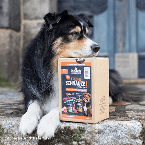 Bosch Dog Freshe Schnauze - Aktionspaket Nassfutter zoo-de