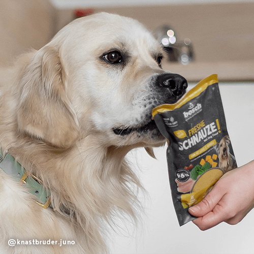 Bosch Dog Freshe Schnauze - Huhn mit Reis &amp; Karotten zoo-de