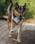 Bosch Dog Freshe Schnauze - Pute mit Quinoa & Spinat zoo-de