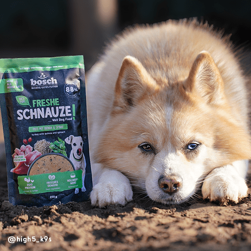 Bosch Dog Freshe Schnauze - Pute mit Quinoa &amp; Spinat zoo-de