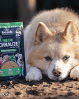 Bosch Dog Freshe Schnauze - Pute mit Quinoa & Spinat zoo-de