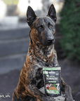 Bosch Dog Freshe Schnauze - Pute mit Quinoa & Spinat zoo-de