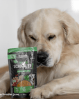 Bosch Dog Freshe Schnauze - Pute mit Quinoa & Spinat zoo-de