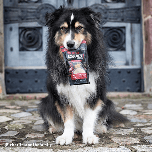 Bosch Dog Freshe Schnauze - Rind mit Hirse &amp; Rote Bete zoo-de
