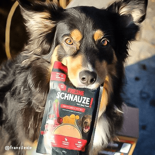 Bosch Dog Freshe Schnauze - Rind mit Hirse &amp; Rote Bete zoo-de