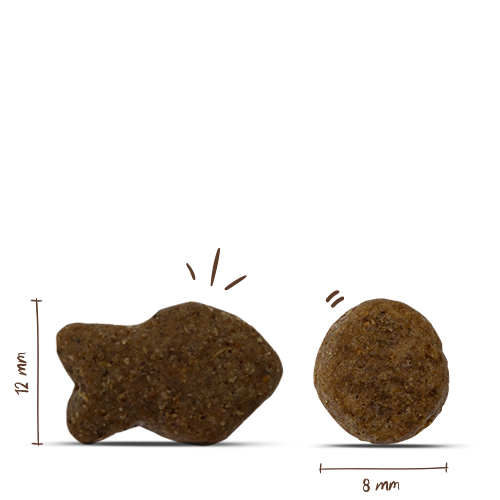 Bosch Adult Fisch &amp; Kartoffel