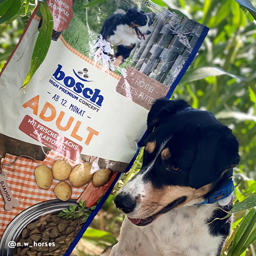 Bosch Adult Lachs &amp; Kartoffel