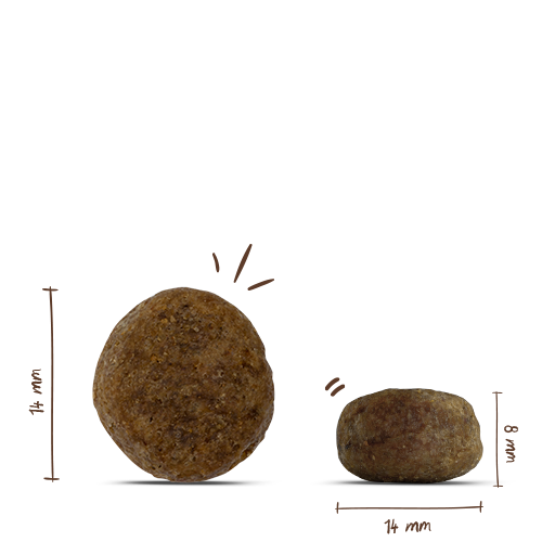 Bosch Adult Sensitive Ente &amp; Kartoffel