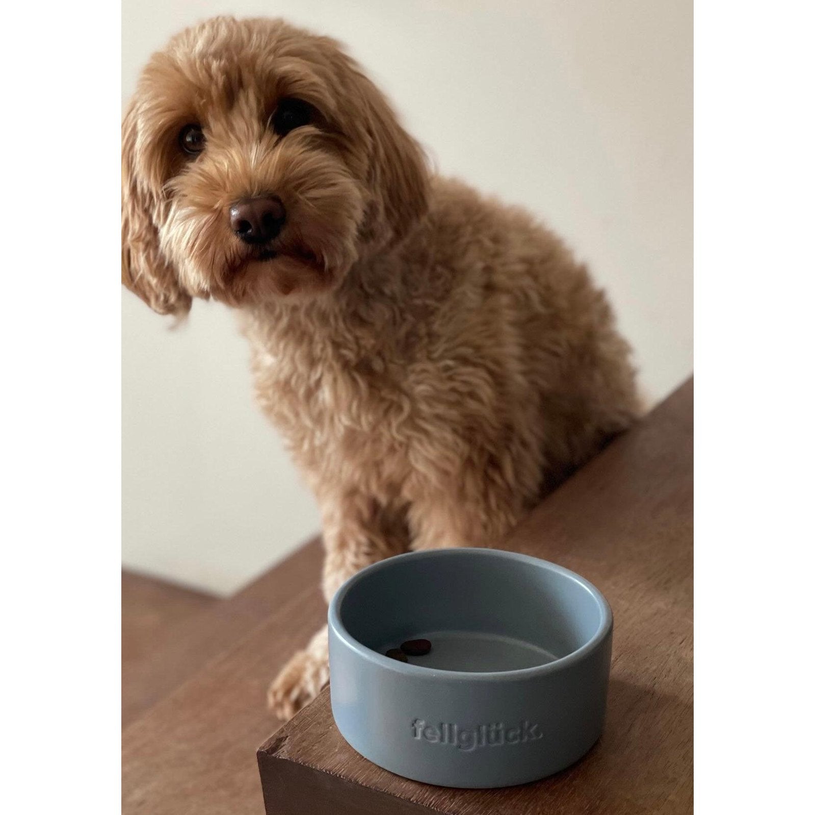 Artikel mit dem Namen Futternapf aus Keramik (Dove Blue) im Shop von zoo.de , dem Onlineshop für nachhaltiges Hundefutter und Katzenfutter.