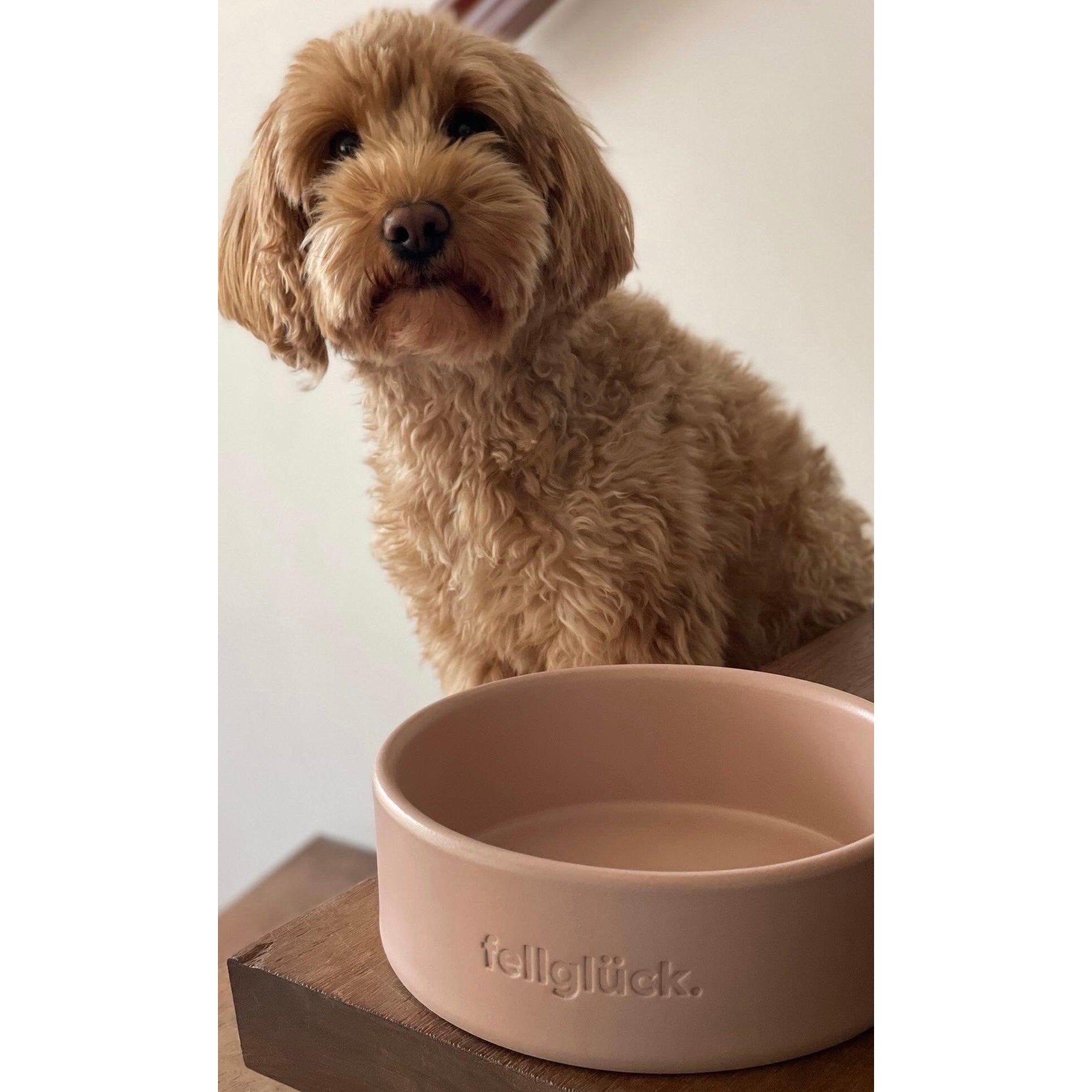 Artikel mit dem Namen Futternapf aus Keramik (Rosé) im Shop von zoo.de , dem Onlineshop für nachhaltiges Hundefutter und Katzenfutter.