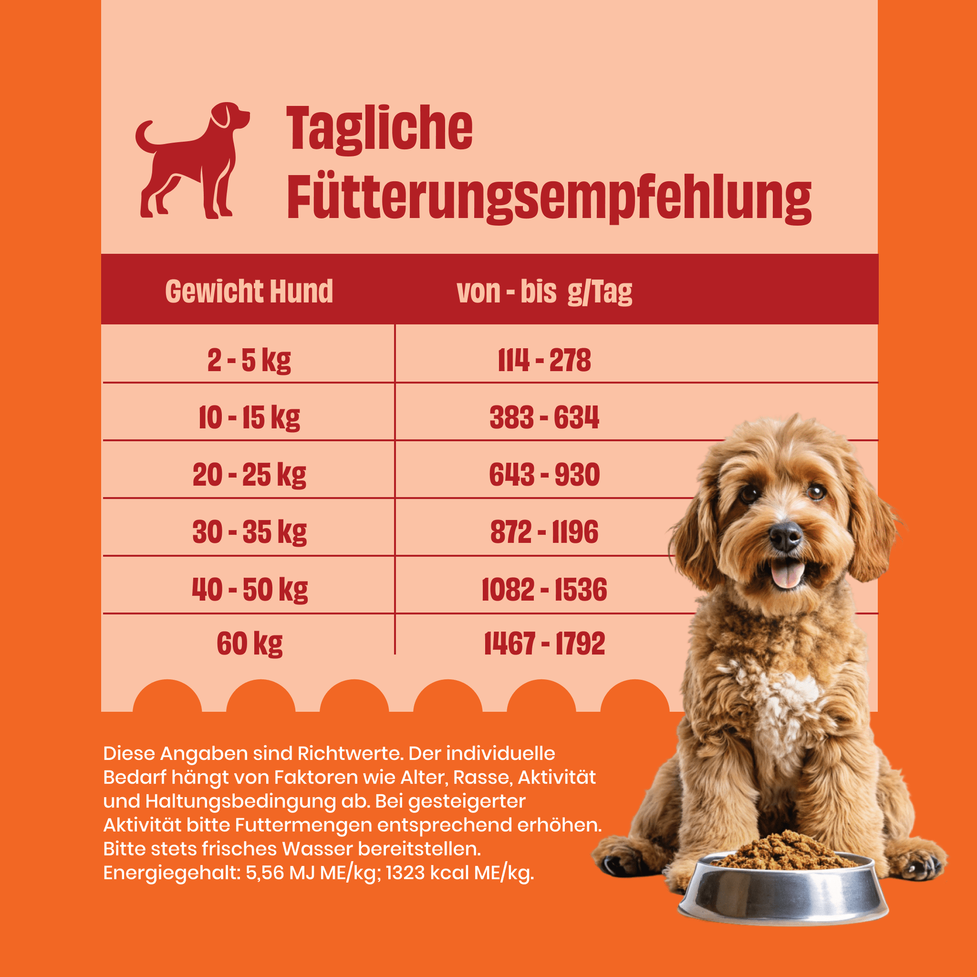 Huhn mit Reis, Karotten und Erbsen zoo-de