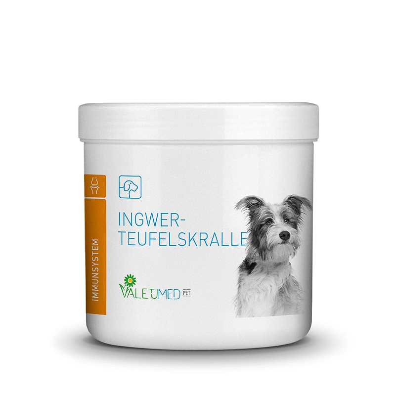 Valetumed Ingwer-Teufelskralle