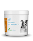 Valetumed Ingwer-Teufelskralle