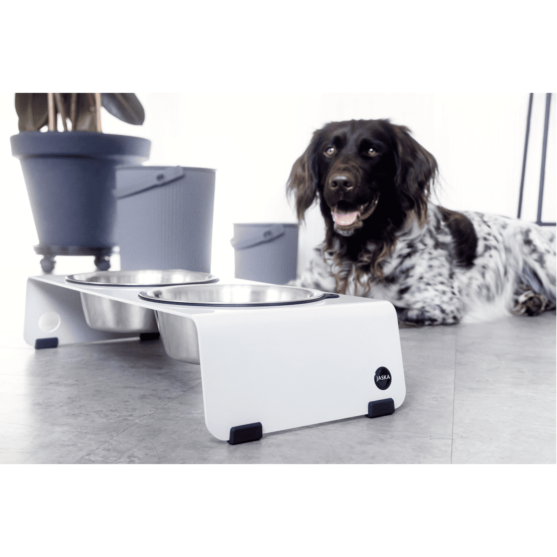 Artikel mit dem Namen Jaska Hundebar ARC L im Shop von zoo.de , dem Onlineshop für nachhaltiges Hundefutter und Katzenfutter.