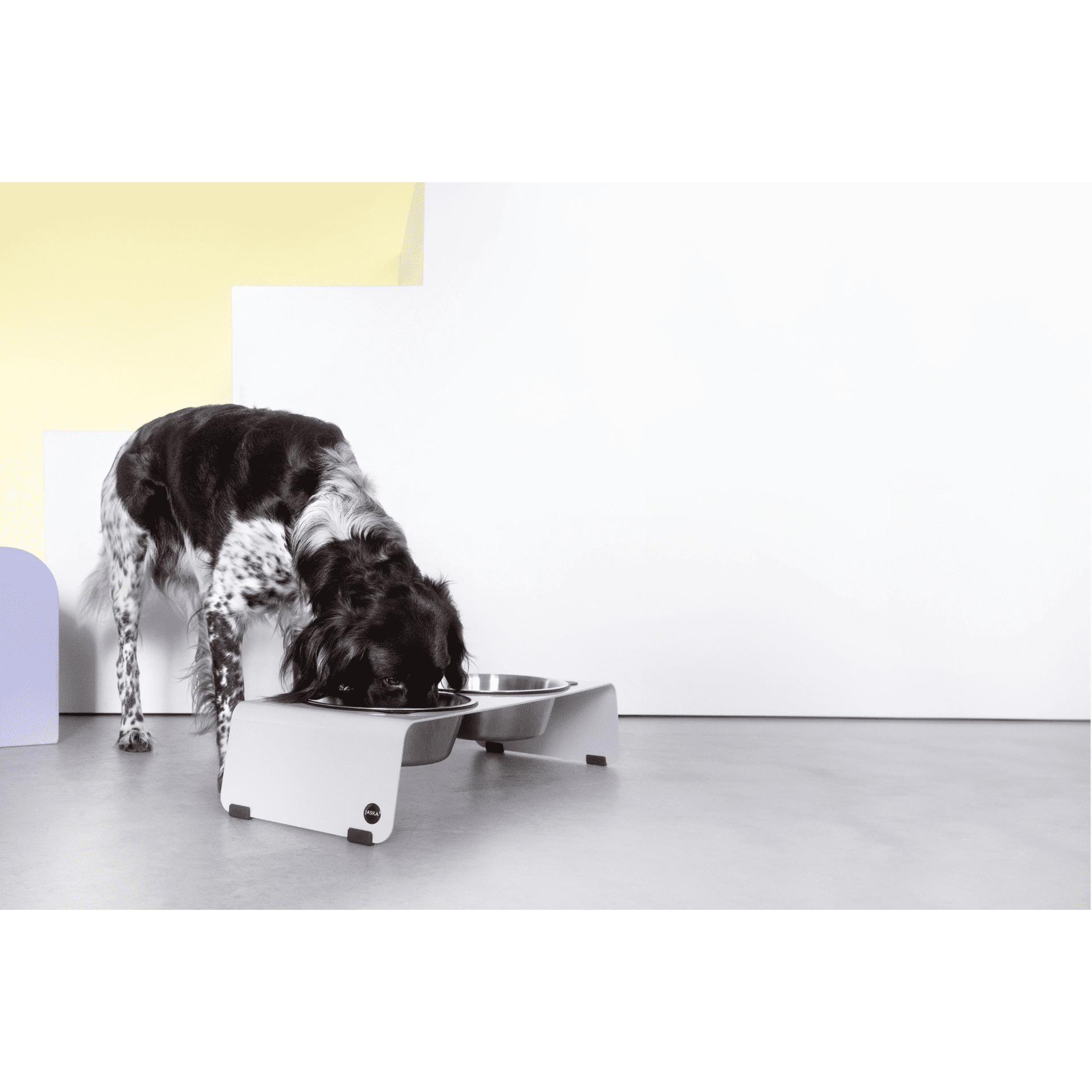 Artikel mit dem Namen Jaska Hundebar ARC M im Shop von zoo.de , dem Onlineshop für nachhaltiges Hundefutter und Katzenfutter.