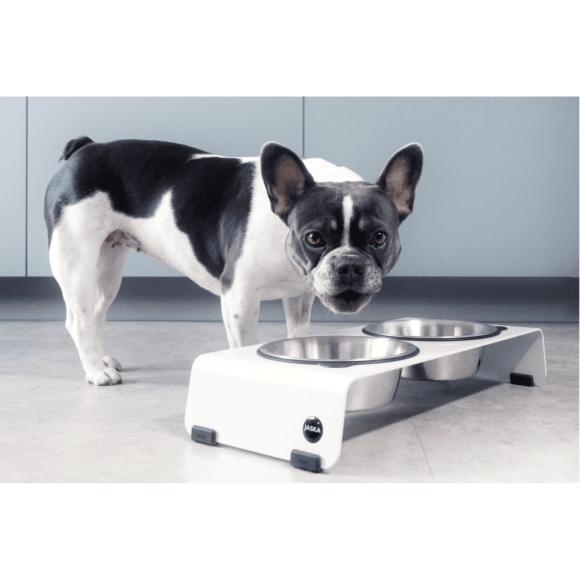 Artikel mit dem Namen Jaska Hundebar ARC S im Shop von zoo.de , dem Onlineshop für nachhaltiges Hundefutter und Katzenfutter.