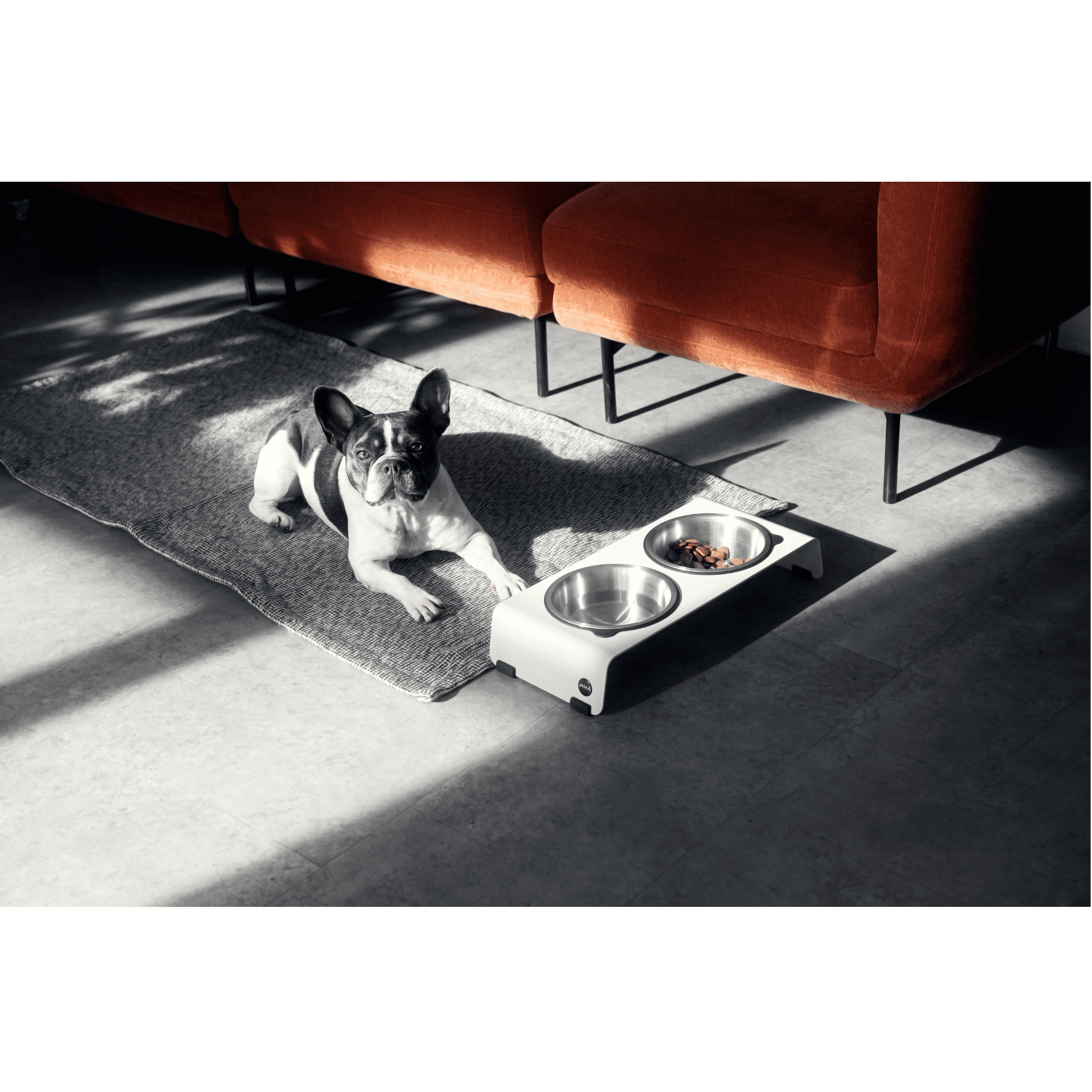 Artikel mit dem Namen Jaska Hundebar ARC S im Shop von zoo.de , dem Onlineshop für nachhaltiges Hundefutter und Katzenfutter.
